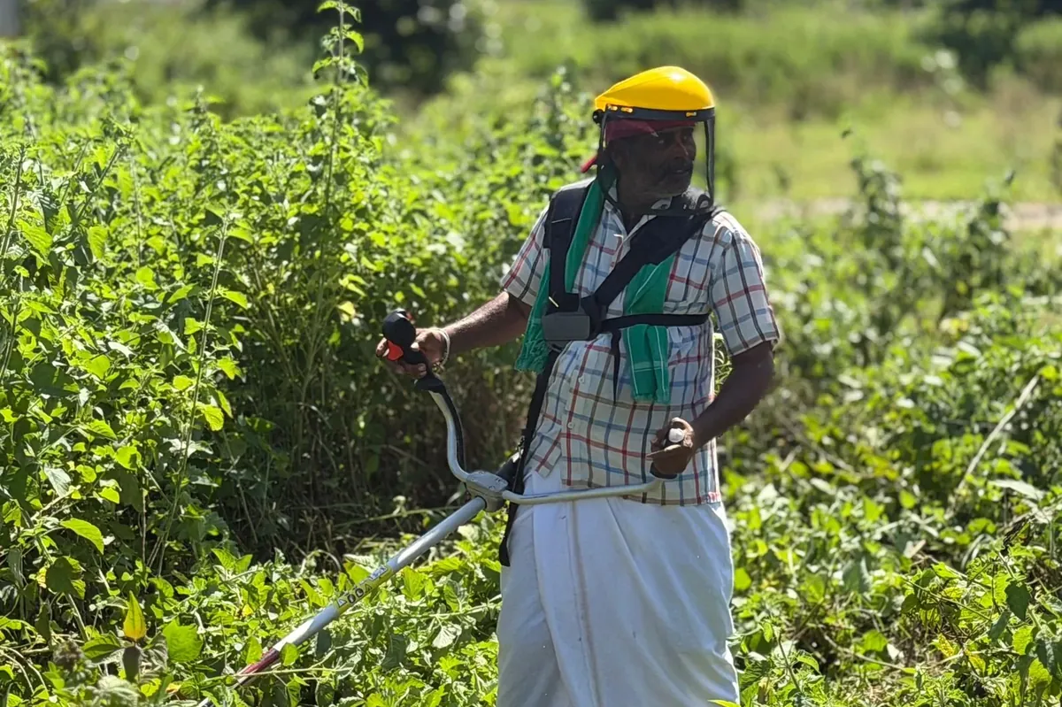 A farmer in a white lungi and checked shirt, wearing a yellow safety visor, running the Rancher RXB45 through waist-high weeds