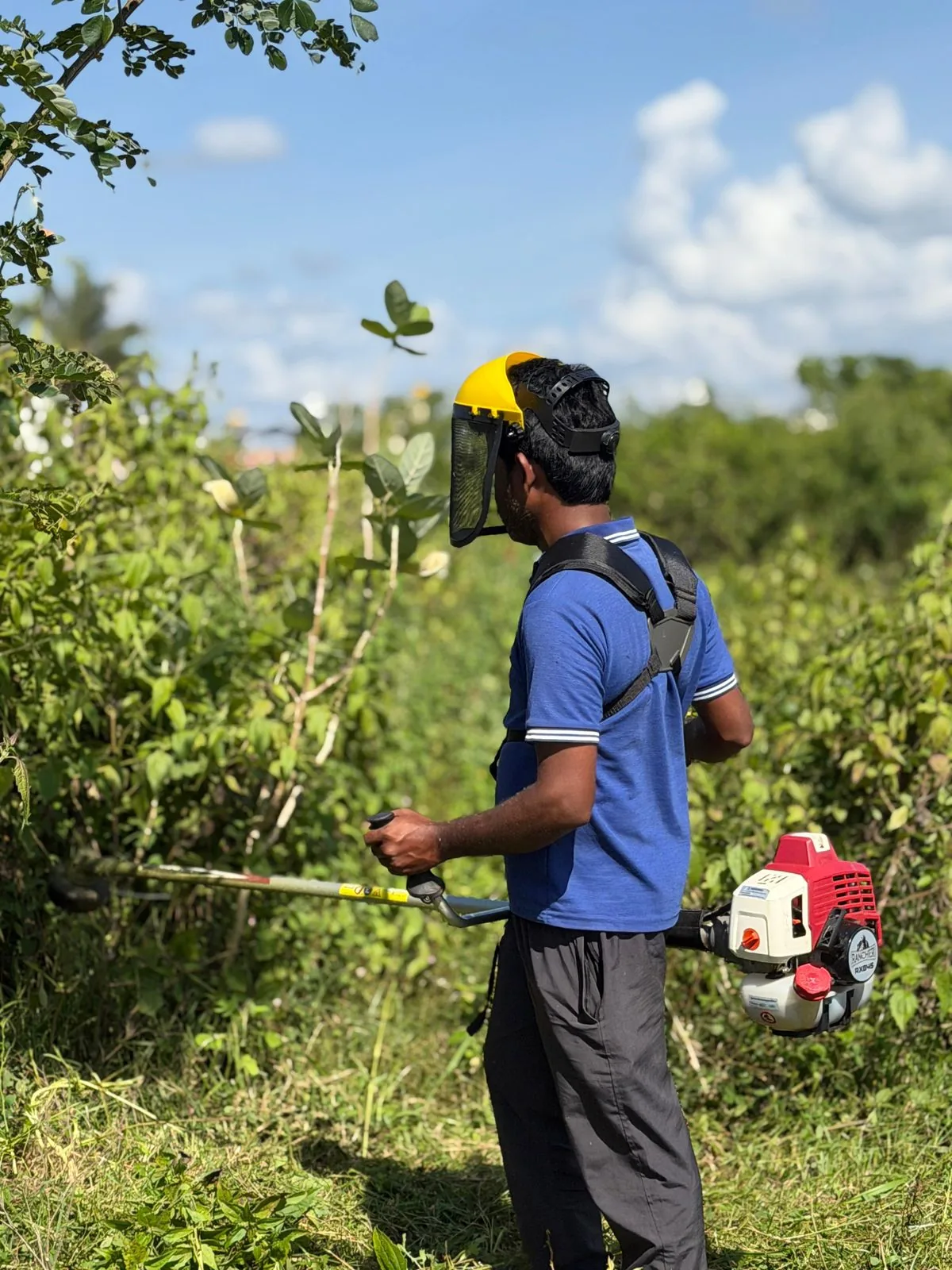 Operator at the edge of a bush line with the Rancher RXB45, seen from behind