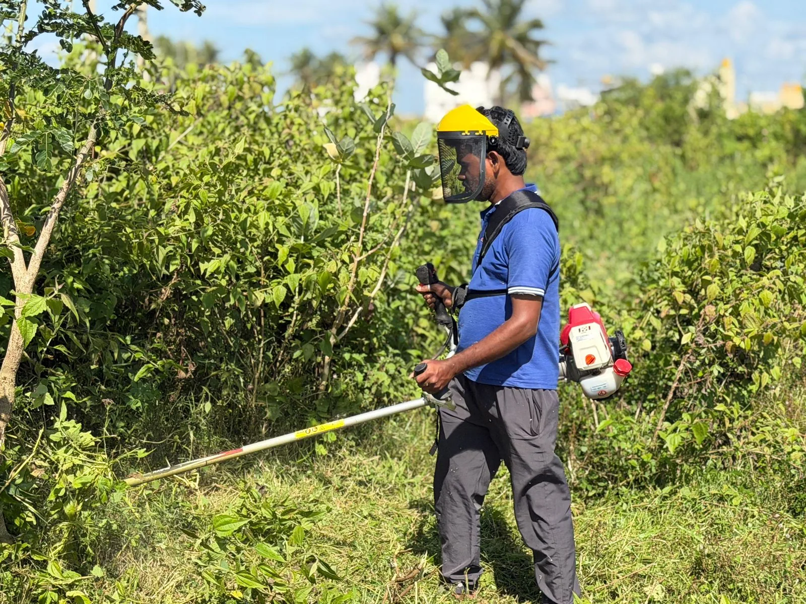 Operator cutting into a dense bush line with the Rancher RXB45, wearing a mesh face visor