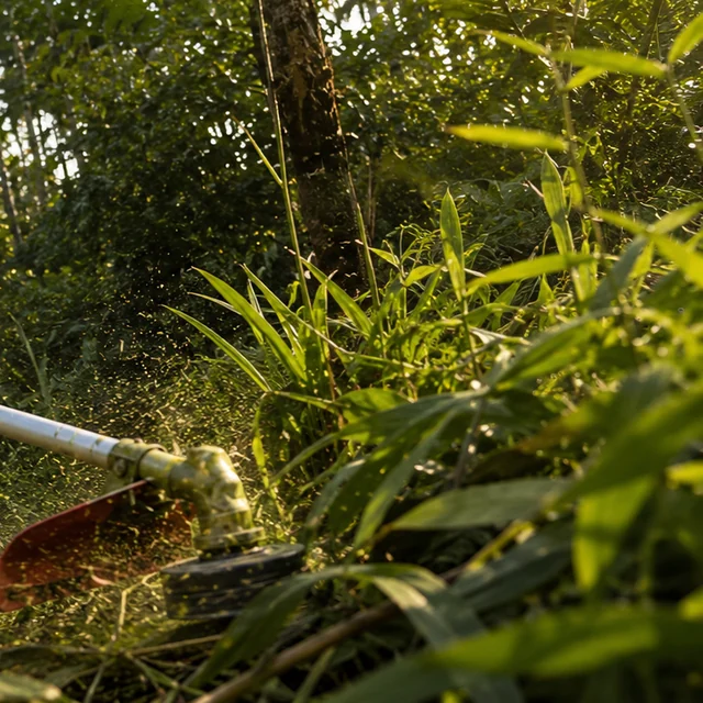 A Rancher RXB45 cutting through dense tall undergrowth